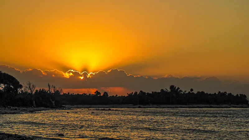 Sol saliendo detrás de una franja de nubes y palmeras, con el agua iluminada de naranja, en la costa de Tulum