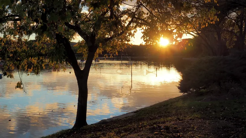 Árbol a contraluz junto al agua en la Casa de Campo de Madrid, con el sol bajo reflejado en la superficie