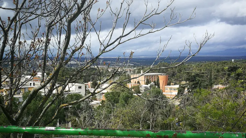 Vista hacia el oeste de Madrid desde el Cerro de los Locos, en la Dehesa de la Villa, con árboles sin hojas y una barandilla verde
